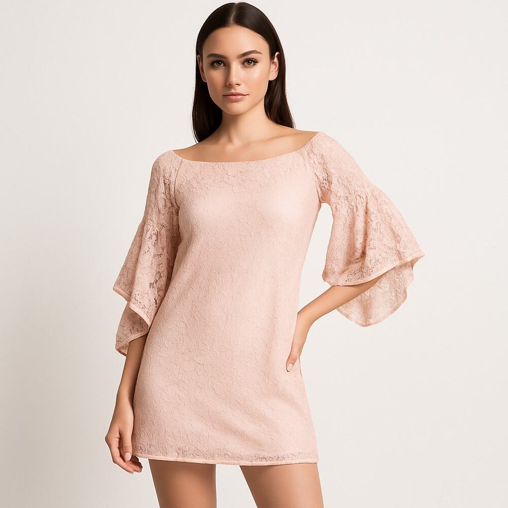 Jens Pirate Booty $253 Mini Dress French Lace in Rose Pink size Small